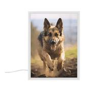 YHNNH Running German Shepherd Dog Night Lights Tabletop Compact Mirror Nightlight Portable Bedside Table Lamp with Plug-in and USB Charger Port