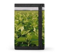 YHNNH Soybean Field Trifold Wallet Polyester Casual Wallets Portable Stylish Coin Purse for Men And Women