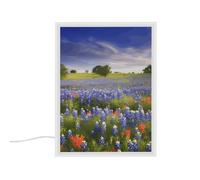 YHNNH Texas Bluebonnets Scenery Night Lights Tabletop Compact Mirror Nightlight Portable Bedside Table Lamp with Plug-in and USB Charger Port