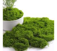 YHTCC 100g Artificial Moss - Fake Moss For Crafts, Fairy Gardens, Terrariums, Christmas, Easter, Table Decor, Planters