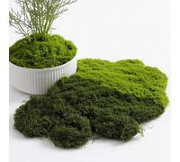 YHTCC 200g Artificial Moss Dark Green & Light Green