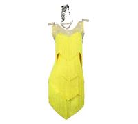 Yhwacyznm Sleeveless Latin Dance Performance Dress Tango Cha Cha Dancewear with Layered Tassels Salsa Costume for Women,A,L