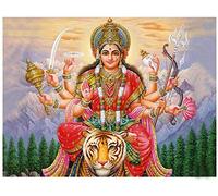 YHX926 Cross Stitch Kits for Beginners Adults,Hindu Female Icon,11CT Stamped 3 Strands,Easy Embroidery Cross-Stitch Needlework Home Decoration,16x20 inch
