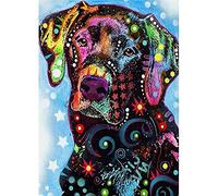 YHX926 Cross Stitch Kits for Beginners Adults,Labrador Dog,11CT Stamped 3 Strands,Easy Embroidery Cross-Stitch Needlework Home Decoration,16x20 inch