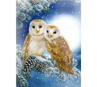 YHX926 Cross Stitch Kits for Beginners Adults,Owl in The Snow,11CT Stamped 3 Strands,Easy Embroidery Cross-Stitch Needlework Home Decoration,16x20 inch