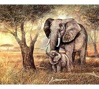 YHX926 Cross Stitch Kits for Beginners,Forest Elephant,11CT Stamped 3 Strands Cross Stitch Kits for Adults,Embroidery Starter Kits for Children,16x20 inch