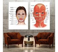 YHXCT Facial Anatomy Muscle Vessels Detailed Art Print Educational Science Doctor Art Deco Poster Medical Wall Picture For Hospital Clinic Décor Wall Art Murals Handmade Prints, 24 x 32 inches