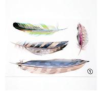 YianBestja 2X Waterproof DIY Decoration Car Feather Sticker, Stereoscopic Self-adhesive Reflective Stickers for Motorcycle Bike Scooter Helmet laptop (Style 1)