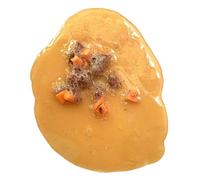 Yianyal Vomit Prank Toy - Joke Tricky Toys | Fake Vomit Toy For Friends, Film Props, Makeup Parties, Educational Demonstration, Halloween Costume Accessories