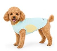 YibooAura 1PK Dog Cooling Shirts for Small Dogs, Green,S