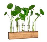 YIBOT Propagation Stations, Plant Terrarium with Wooden Stand, Birthday Gardening Gifts for Women Mom Plant Lovers,Home Office Desk Decor, 5 Glass Test Tubes Vases