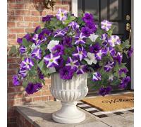 YIBUKIY Artificial Flowers Plants for Outdoors, 2PCS Faux Petunias Silk Fake Flower UV Resistant No Fade for Home Outside Garden Balcony Yard Porch Realistic Indoor Decor (Purple White)