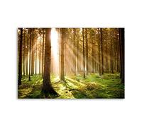 YICIMAOYI Forest Dawn Woodland Giant Poster Decorative Painting Canvas Wall Posters And Art Picture Print Modern Family Bedroom Decor Posters 12x18inch(30x45cm)