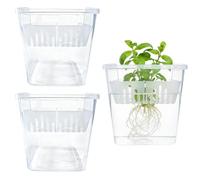 Yidueace Hydroponics Pots | 3 Pieces Clear Propagation - 10 cm Plant Pot with Drain Holes - For Balcony, Garden, Windowsill, Bedroom, Kitchen, Home, Interior