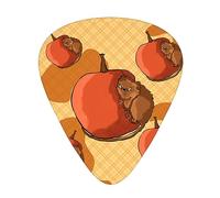 Yifhdes Cute Little Hamster 12 Pcs Guitar Picks Set For Folk,Acoustic,Bass Guitar,Electric,Banjo Or Ukulele.Solo,Riff,Gifts
