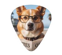 Yifhdes Dog with Glasses Reading Newspaper Ocean Beach Printed Guitar Picks,12 Pack Premium Guitar Picks 3 Different Thickness with Storage Box,0.5/0.7/1 mm