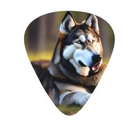 Yifhdes Husky Dog Print Guitar Pick Thin Medium Heavy Gauges For Acoustic Guitar,Electric Guitar,Bass Guitar,12 Pack