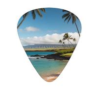 Yifhdes Kauai Hawaii Seashore Printed Guitar Picks,12 Pack Premium Guitar Picks 3 Different Thickness with Storage Box,0.5/0.7/1 mm