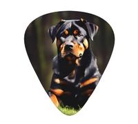 Yifhdes Rottweiler Wallpaper Print Guitar Pick Thin Medium Heavy Gauges For Acoustic Guitar,Electric Guitar,Bass Guitar,12 Pack