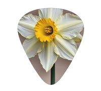 Yifhdes Yellow Daffodil Printed Guitar Picks,12 Pack Premium Guitar Picks 3 Different Thickness with Storage Box,0.5/0.7/1 mm
