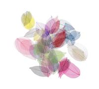 [YIGZYCN] 50pcs/pack Natural Skeleton Leaves Exquisite Wedding Gift Box Fillers Handmade Decoration Art