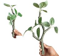 YIGZYCN Aquariums Landscape Artificial Trunk Terrarium Shrimp Plant Statue Aquariums Habitat Decors Fishtank Artificial Plant Branch Fish Tanks Decorations