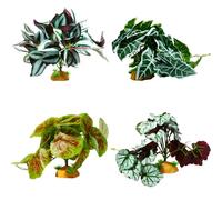 YIGZYCN Artificial Aquarium Decorations for Shrimp Habitat, Fish Landscape Ornaments & Terrarium Craft Fish Landscape Ornaments & Terrarium Craft