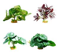YIGZYCN Artificial Aquarium Decorations for Shrimp Habitat, Fish Landscape Ornaments & Terrarium Craft Fish Landscape Ornaments & Terrarium Craft