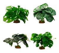 YIGZYCN Artificial Aquarium Decorations for Shrimp Habitat, Fish Landscape Ornaments & Terrarium Craft Fish Landscape Ornaments & Terrarium Craft
