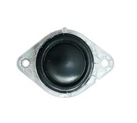 YIGZYCN Fidelitys Sound Reproduction Driver Tweeter Speakers with Computer Waveguide for 120Degree Dispersion High Frequency Tweeter Speakers Advanced Magnets