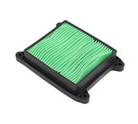 YIJIEBAO Motobike Replacement Engine Intake Cleaner Element Air Filters Oil Filter Fit For Bajaj Pulsar N250 N160 N 250 160 Accessories(Dark Grey)