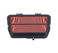 YIJIEBAO Motorcycle Accessories Replacement Air Filter Fit For Triumph Tiger 800 XC XCA XCX XR XRT XRX T2200557 Intake Cleaner Element Accessories