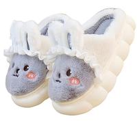 YILANLAN Women's slippers Cute pig slippers Dinosaur Animal slippers Warm Winter plush slippers (Grey, adult, women, numeric_6, numeric_range, uk_footwear_size_system, numeric_7, medium)