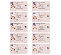 Yililay 10PCS Santa Claus Flying License Christmas Lost Flying Driving Licence for Xmas Ornament Santa Claus Card