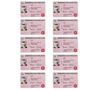 Yililay 10PCS Santa Claus Flying License Christmas Lost Flying Driving Licence Xmas Ornament Style6