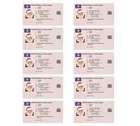 Yililay Santa Claus Flying License Christmas Lost Flying Driving Licence for Xmas Ornament 10PCS Style3 card