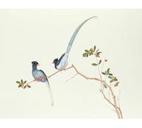 YIMACBJXX Famous Modern Prints Decorative Paintings Red-billedmagpies on a Branch with Red Berries Ch'ien-lung Period by Qing Dynasty Chinese School Poster Painting Art for Home Decor 60x90cm