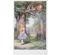 YIMACBJXX Famous Painting Colorful Art Print Art Painting Alice and the Cheshire Cat Alices Adventures in Through the Looking-glass by Tenniel Abstract Picture Canvas for Home Decor 60x90cm