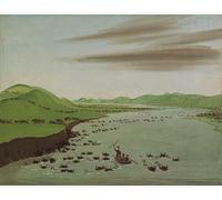 YIMACBJXX Famous Painting Colorful Art Print Art Painting Animal Herds Crossing the Upper Missouri by George Catlin Abstract Picture Canvas for Home Decor 60x90cm