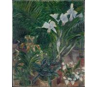 YIMACBJXX Famous Painting Colorful Art Print Art Painting Orchids in the Petit Gennevilliers greenhouse by Gustave Caillebotte Abstract Picture Canvas for Home Decor 60x90cm