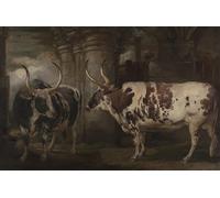 YIMACBJXX Famous Painting Pictures Paintings Artwork For Walls Portraits of Two Extraordinary Oxen the Property of the Earl of Powis by Famous Artist Vintage Wall Art for Home Decor 60x90cm