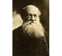 YIMACBJXX Famous Painting Pictures Paintings Artwork For Walls Pyotr Alexeyevich Kropotkin Russian Anarchist by Nadar Vintage Wall Art for Home Decor 60x90cm