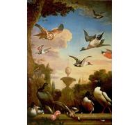 YIMACBJXX Famous Painting Poster Artworks Posters And Prints a Mallard and a Golden Bird in a Classical Garden Landscape by Melchior De Hondecoeter Canvas Artwork Print for Home Decor 60x90cm