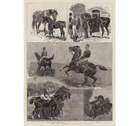 YIMACBJXX Famous Painting Poster Artworks Posters And Prints Life and Career of a Military Charger by John Charlton Canvas Artwork Print for Home Decor 60x90cm
