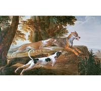 YIMACBJXX Famous Painting Poster Artworks Posters And Prints the Hunt by Desportes Canvas Artwork Print for Home Decor 60x90cm