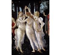 YIMACBJXX Famous Painting Poster Artworks Posters And Prints The spring. detail of the three graces by Sandro Botticelli Canvas Artwork Print for Home Decor 60x90cm
