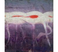 YIMACBJXX Famous Painting Poster Artworks Posters And Prints White es Study for Book Concealing Coloration in the Animal Kingdom Abbott HThayer Canvas Artwork Print for Home Decor 60x90cm