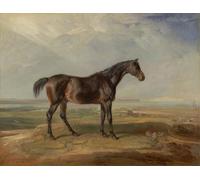 YIMACBJXX Famous Painting Wall Art Decor Canvas Picture Wall Dr Syntax a Bay Race Animal Standing in a Coastal Landscape by Famous Artist Graffiti Art Pictures for Home Decor 60x90cm