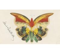 YIMACBJXX Famous Painting Wall Art Decor Canvas Picture Wall Yellow Butterflies by Albert Bierstadt Graffiti Art Pictures for Home Decor 60x90cm