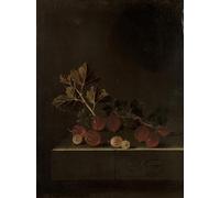 YIMACBJXX Famous Pictures Paintings Artwork For Walls a Sprig of Gooseberries on a Stone Plinth by Adrian Coorte Vintage Wall Art for Home Decor 60x90cm